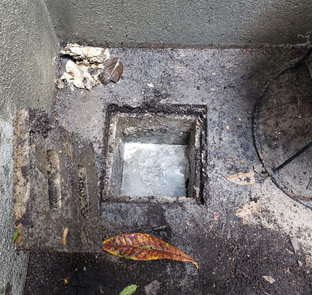 詰まりが解消した排水桝の写真