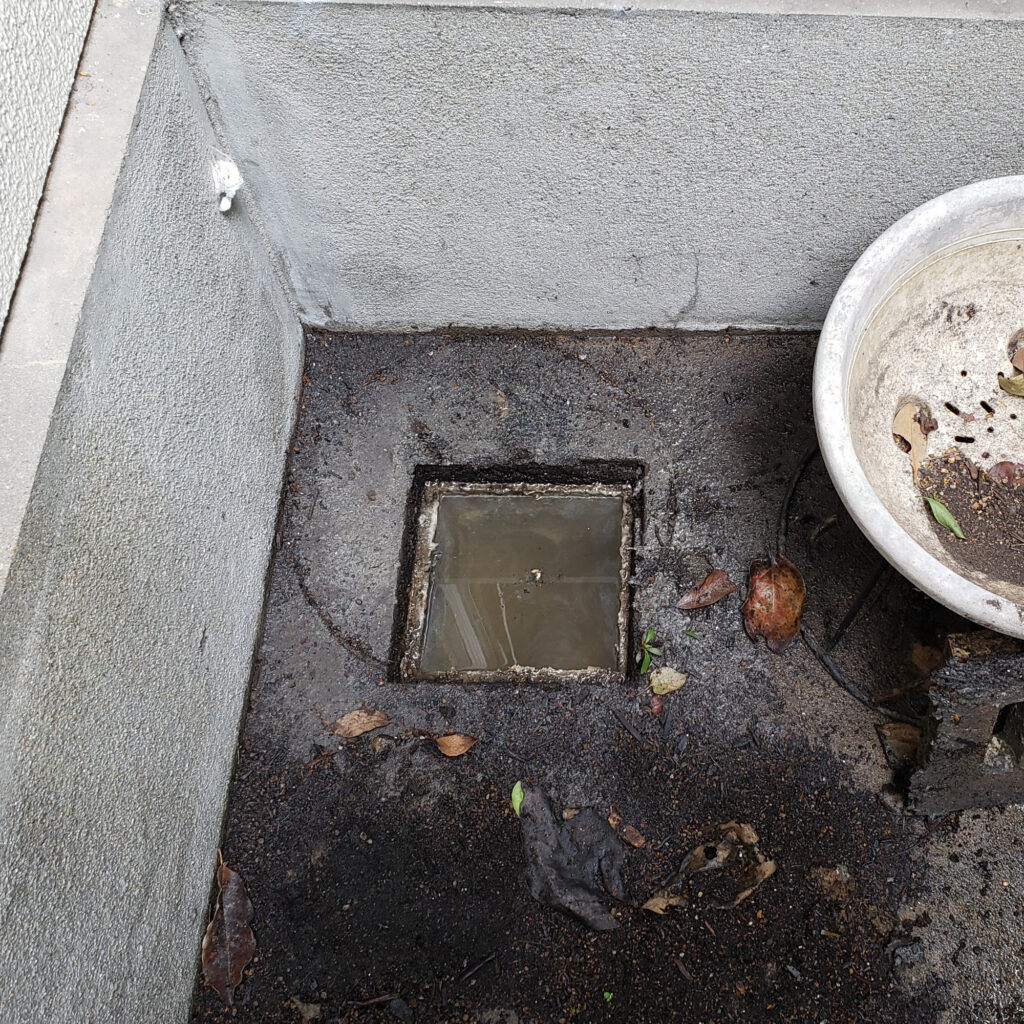 詰まった排水桝の写真