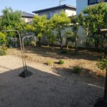 庭の草むしり後