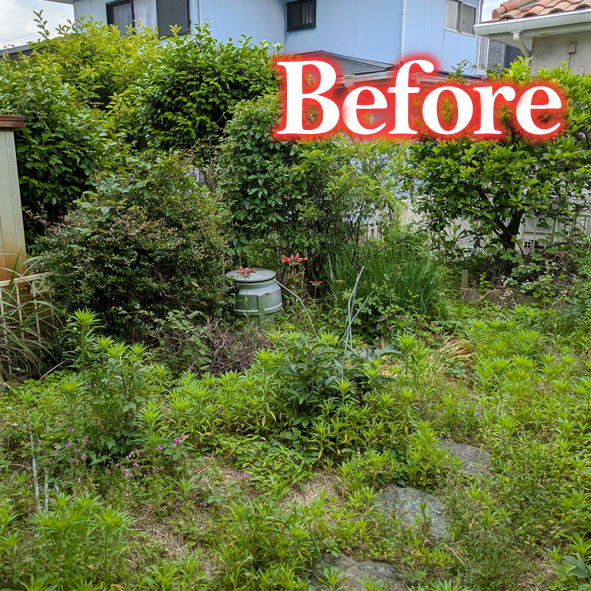 遠賀町で行った庭木撤去の施工前